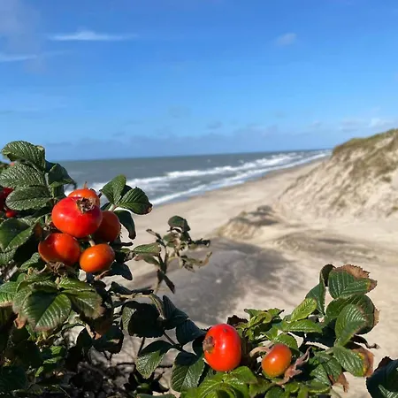 4 Star In Ringkøbing