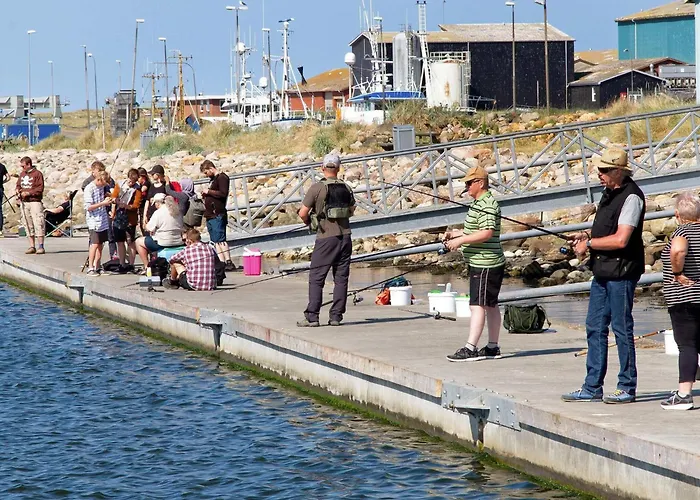 Vakantiehuis 8 Person In Ringkobing-by Traum *