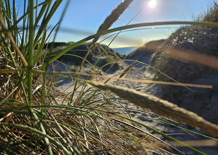 8 Person In Ringkobing-by Traum Vakantiehuis