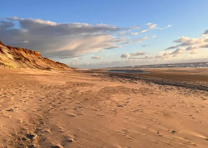 Vakantiehuis 8 Person In Ringkobing-by Traum *