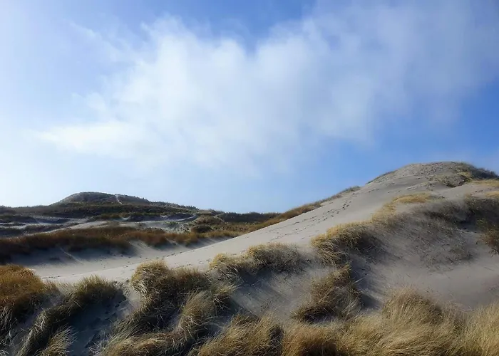 Vakantiehuis 8 Person In Ringkobing-by Traum Ringkøbing